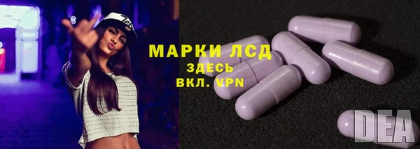 крисы Анива