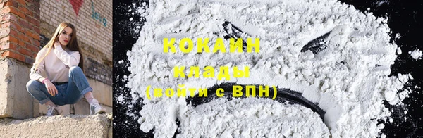 крисы Анива