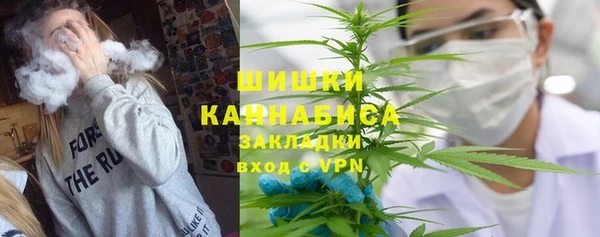 крисы Верея
