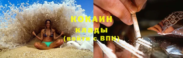 сатива Верхний Тагил
