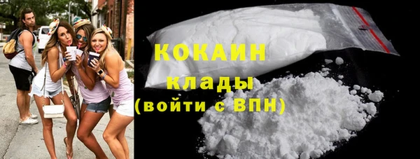 крисы Верея